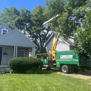 A.S.H LLC Tree Service