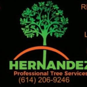 Hernandez Professional Tree Service