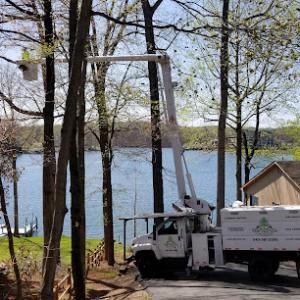 Top Notch Tree Experts