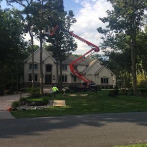 JMA Tree Service