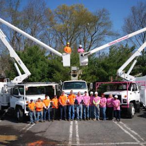 Meinhart's Tree Service