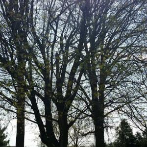 South Jersey Community Development