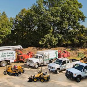 Oakland Tree Service