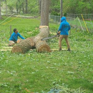 C-T Tree Service
