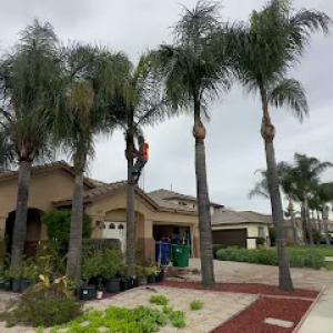 Lucero General Landscaping