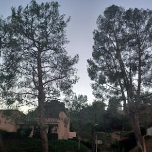 Arbor Enterprise Tree Service