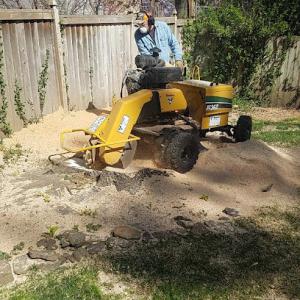 Larry Lewis Stump Grinding