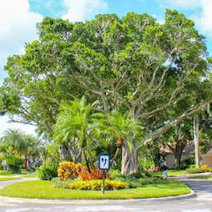 Sherlock Tree Company