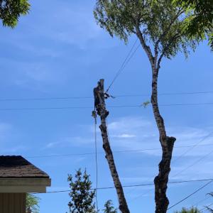 Christensen Cutting Service