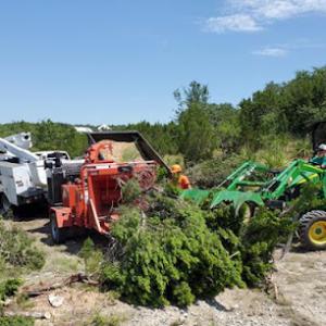 Central Texas Tree Service
