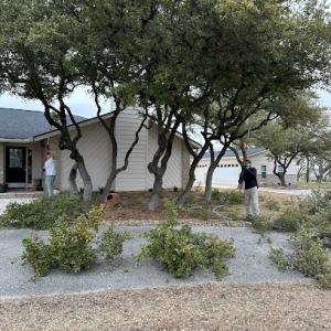 Clean Cut Chainsaw Tree Service