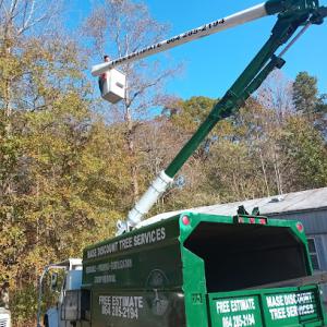 Máse discount tree services