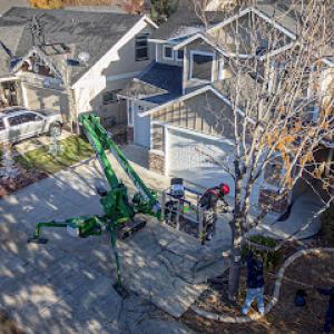 Timberline Tree Service