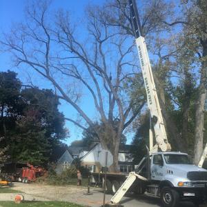 J.P.C. Tree Care