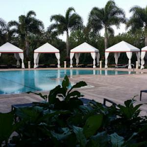 Vision Landscape Services