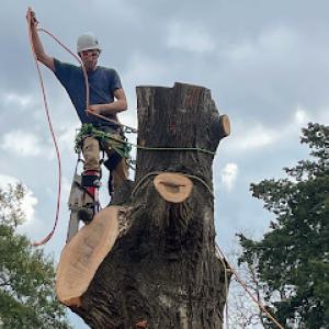 Rushing’s Tree Care