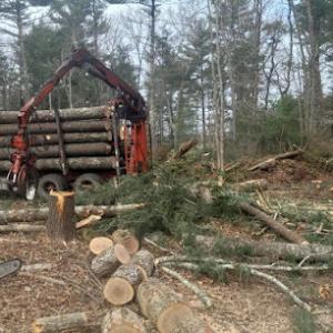 ND Cleaning & Tree Service