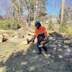 Perini Tree Contractors