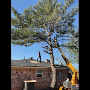 Leaf It To Me Tree Service & Mowing