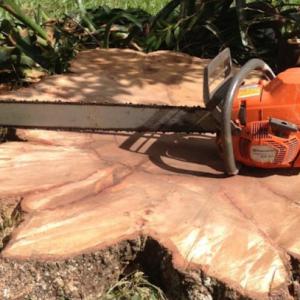 Independent Tree Service