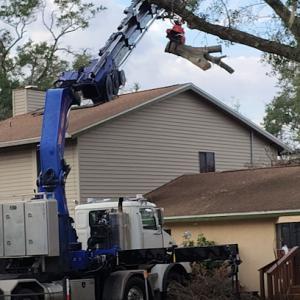 Safe Choice Tree Service