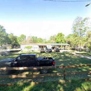 Flat Head Stump Grinding