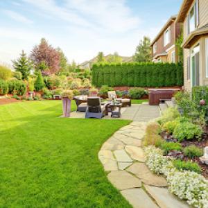 Don's Tree Removal & Landscaping