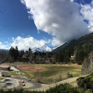 Apex Tree Experts - Gig Harbor