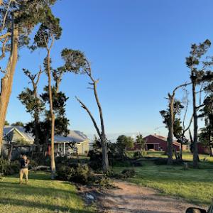 Diaz Brothers Landscaping & Tree Services