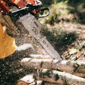 Robert's Tree Service