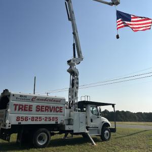 Cumberland Tree Service