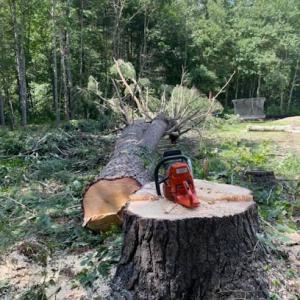 Pratt's Tree Service