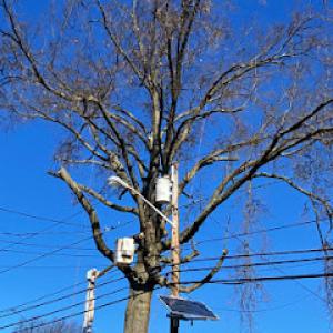 Quality tree service & landscaping