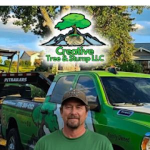 Creative Tree & Stump