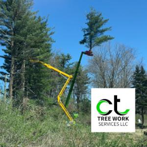 CT Tree Work Service