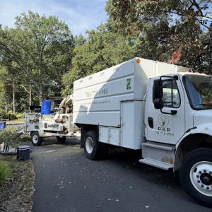 D&D Tree Care & Landscape