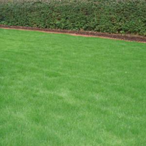 Natural Choice Lawn & Tree Care