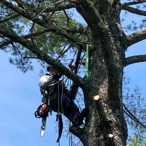 Have Spurs Will Climb