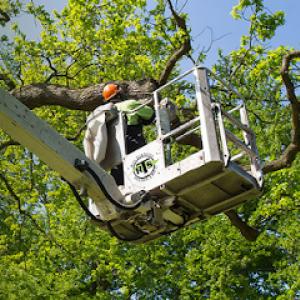 Ross Tree Service