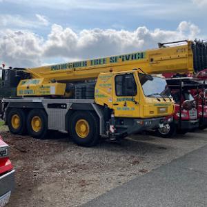 Pathfinder Tree Service