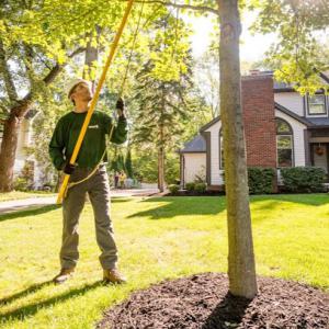 The Davey Tree Expert Company