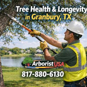 Arborist USA
