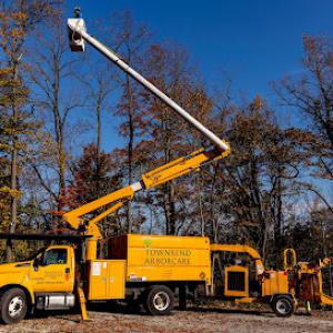 Townsend Arborcare