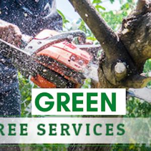 Green Tree Service of Brownsville