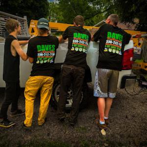 Daves Tree Removal