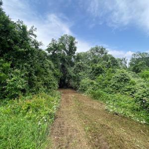 Vaquero Technical Services