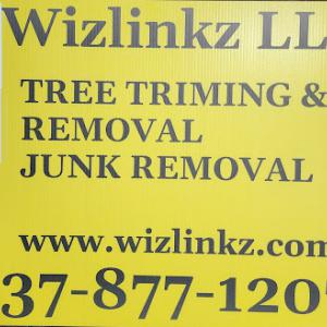Wizlinkz Moving & Junk Removal