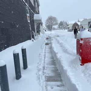 Meta Snow Plowing & Landscaping