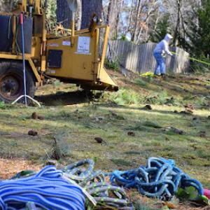 North Star Tree Service Lawrenceville