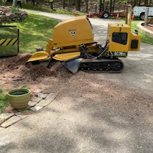 Grizzly Stump Grinding